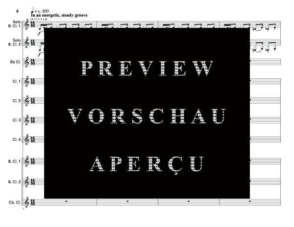 Produktgalerie: Seite 8 von 11 Bass Clarinet Double Concerto, , (Klarinetten Ensemble 2x Bass Klarinette und Klarinettenchor)