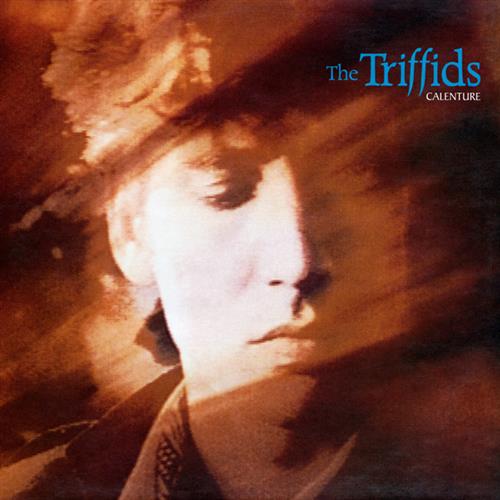 cover: Bury Me Deep In Love, The Triffids, Gesang, Gitarre, Klavier