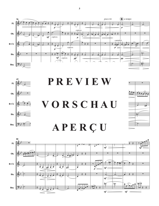 Produktgalerie: Seite 4 von 21 Quintette Pour Instruments a Vent , , (Holzbläser-Quintett)