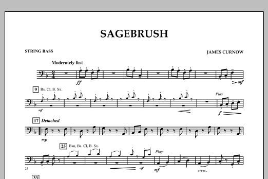 Produktbild zu:  Sagebrush - String Bass - 