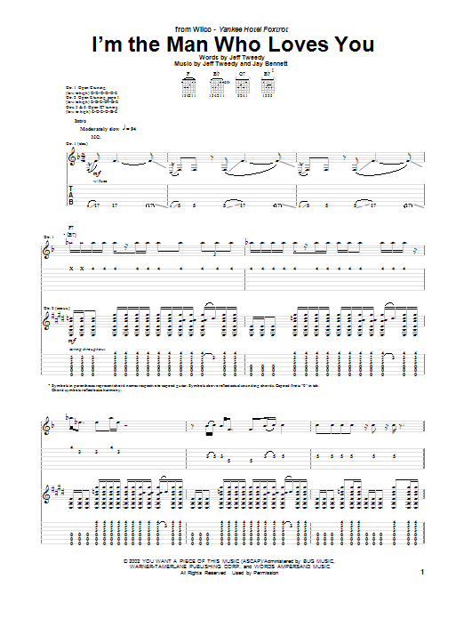 Produktgalerie: Seite 1 von 1 I'm The Man Who Loves You, Wilco, Gitarre