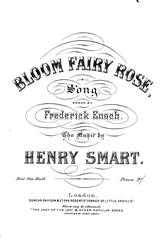 Produktbild zu: Bloom Fairy Rose