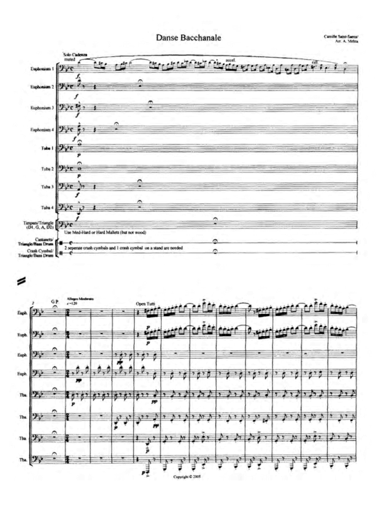 Produktbild zu: Danse Bacchanale Camille Saint-Saens