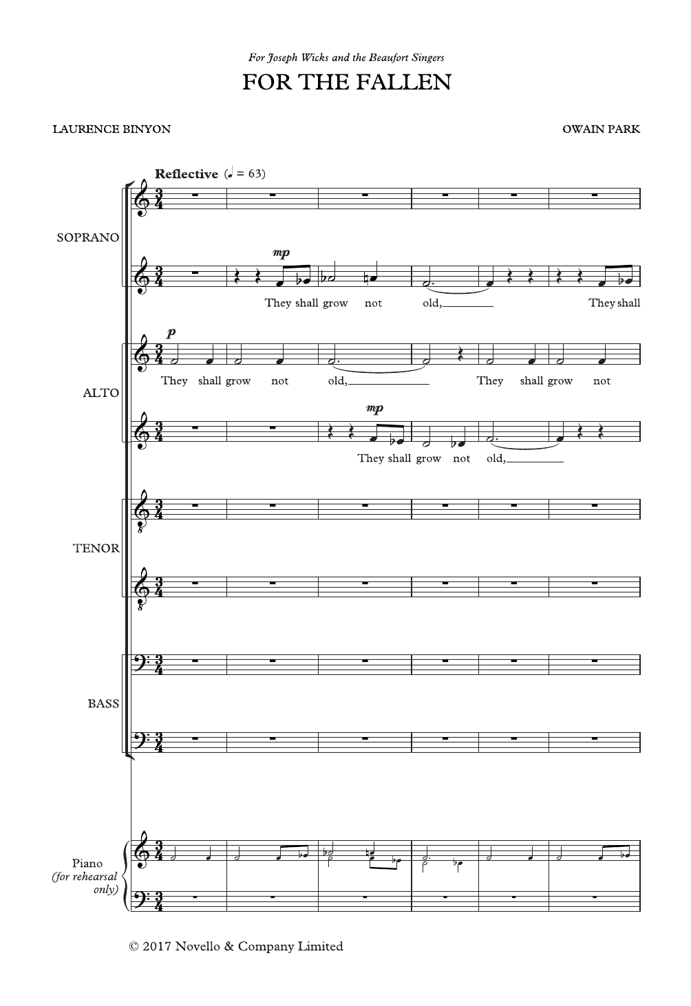 Produktbild zu:  For The Fallen - Owain Park