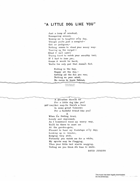 Produktgalerie: Seite 1 von 1 A Little Dog Like You (To My Dog), David Jenkins, Gesang, Klavier