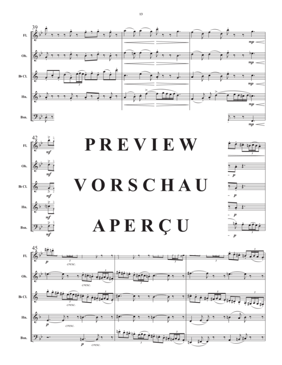 Produktgalerie: Seite 15 von 21 Divertimento for Wind Quintet , , (Holzbläser Quintett)