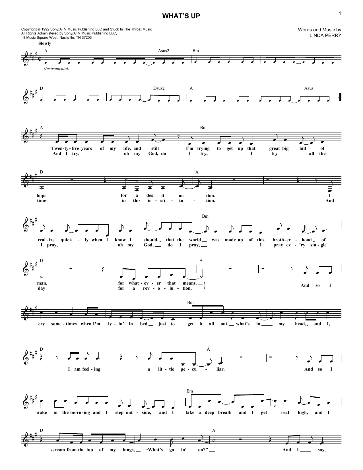 Produktgalerie: Seite 1 von 1 What's Up, 4 Non Blondes