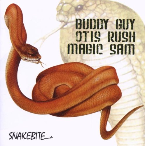 cover: I Can't Quit You Baby, Otis Rush, Gitarre