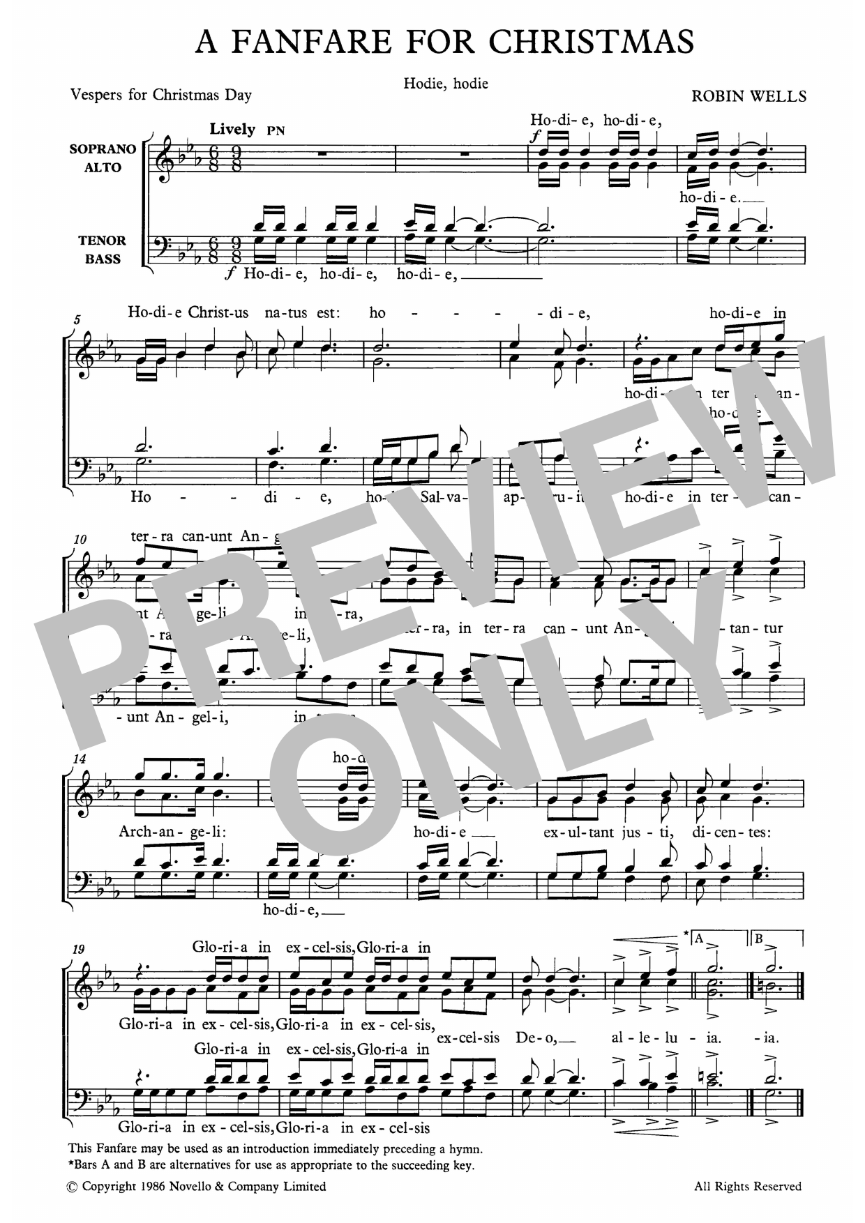 Produktgalerie: Seite 1 von 1 A Fanfare For Christmas, Robin Wells, Chor