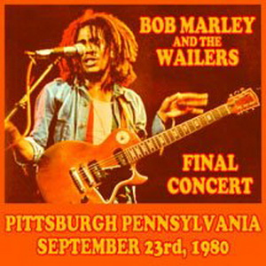 cover: Coming In From The Cold, Bob Marley, Gitarre