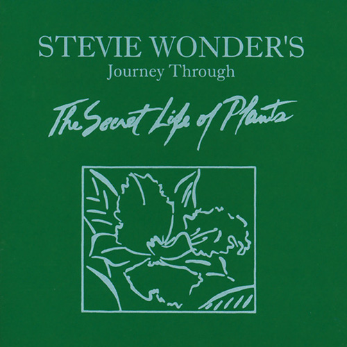 cover: Send One Your Love, Stevie Wonder
