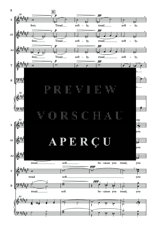Produktgalerie: Seite 11 von 11 Tread Softly, , Sopran Solo, Gemischter Chor und Klavier
