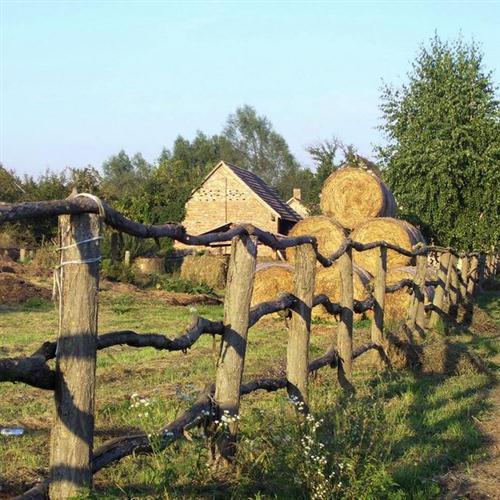 cover: Magasan Repul A Daru (Hungaria's Treasure), Hungarian Folksong