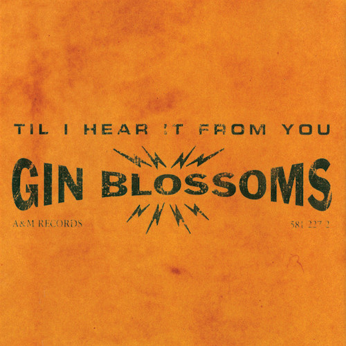 cover: Til I Hear It From You, Gin Blossoms, Gitarre