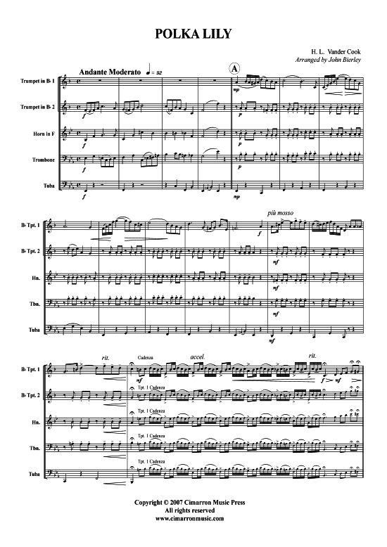 Produktbild zu: Polka -  Lily Cook, H