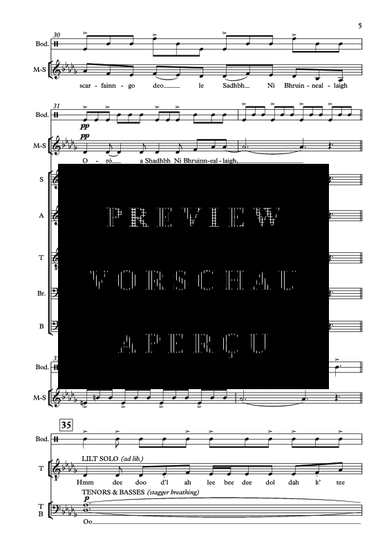 Produktgalerie: Seite 8 von 11 Sadhbh Ní Bhruinneallaigh, , Mezzo-Sopran Solo, Gemischter Chor und irische Trommel