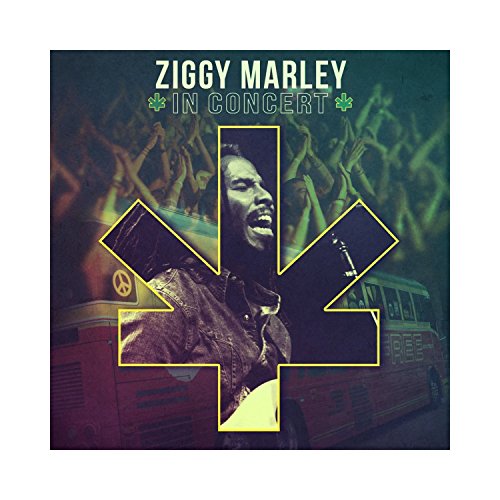 cover: Conscious Party, Ziggy Marley, Gesang, Gitarre, Klavier