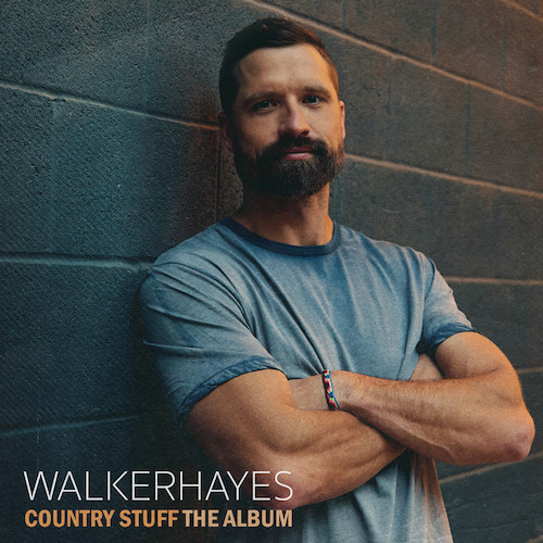 cover: AA, Walker Hayes, Gesang, Gitarre, Klavier