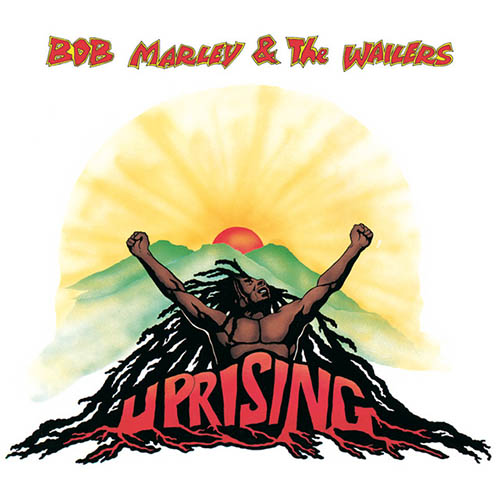 cover: Could You Be Loved, Bob Marley, Bob Marley And The Wailers, Gitarre
