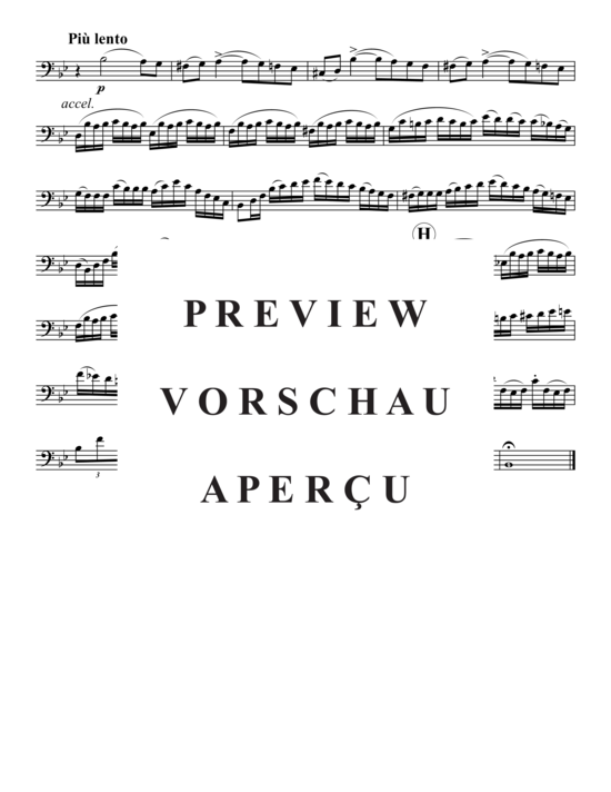 Product gallery: Page 15 of 19 Variationen auf ein Thema von Norma (V.Bellini) , ,  (piano + baritone/trombone)