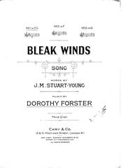 Produktbild zu: Bleak Winds
