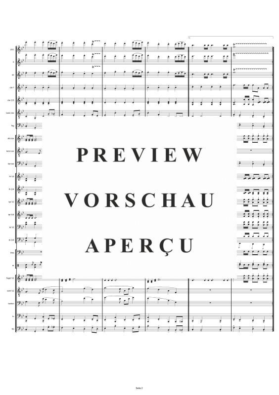 gallery: Gruß an Bad Füssing, , Großes Blasorchester