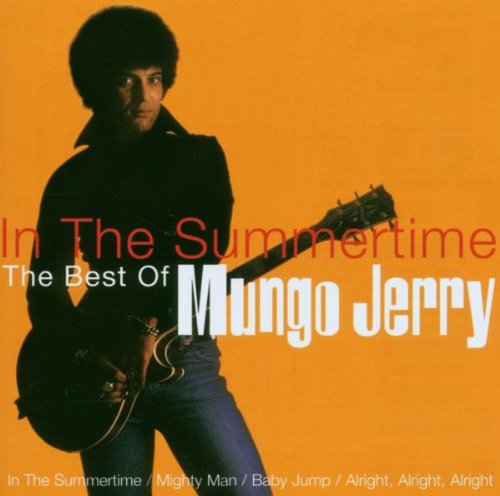 cover: In The Summertime, Mungo Jerry, Gitarre