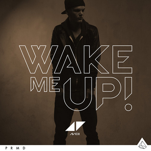 cover: Wake Me Up, Avicii, Gitarre