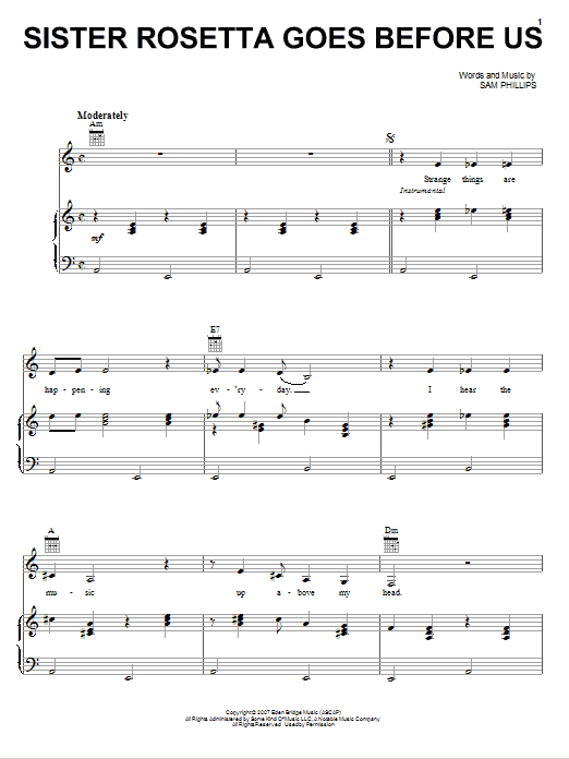 Produktbild zu: Sister Rosetta Goes Before Us