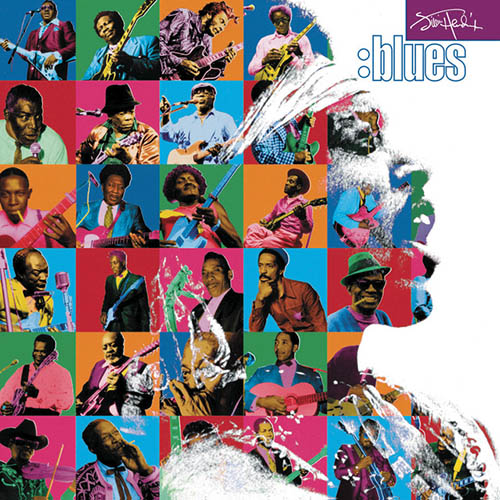 cover: Catfish Blues, Jimi Hendrix, Gitarre