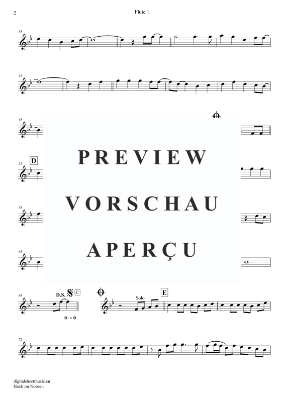 Produktgalerie: Seite 9 von 11 Hoch im Norden, Santiano, (Flöten Trio + Klavier)