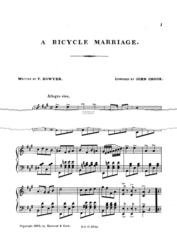 Product picture to: A Bicycle Marriage
