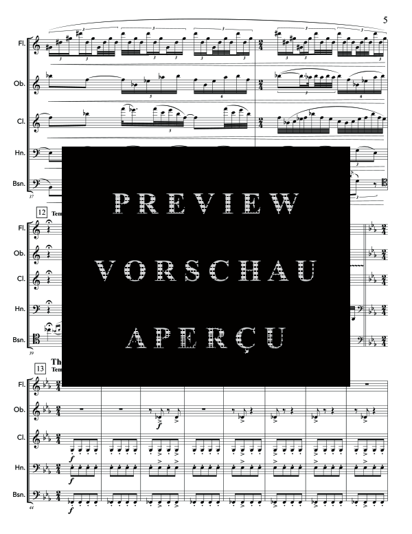 Produktgalerie: Seite 9 von 11 Rite of Spring for, The , , (Holzbläser Quintett)