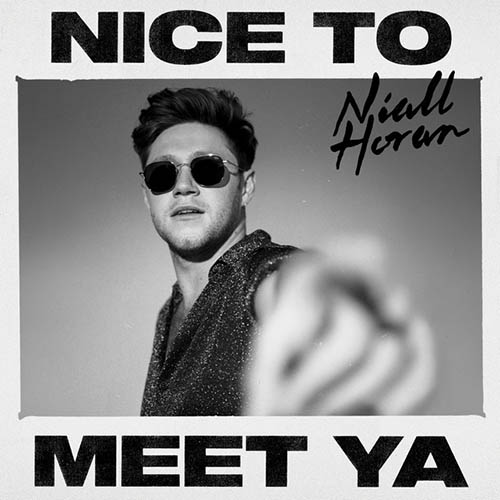 cover: Nice To Meet Ya, Niall Horan, Gesang, Gitarre, Klavier