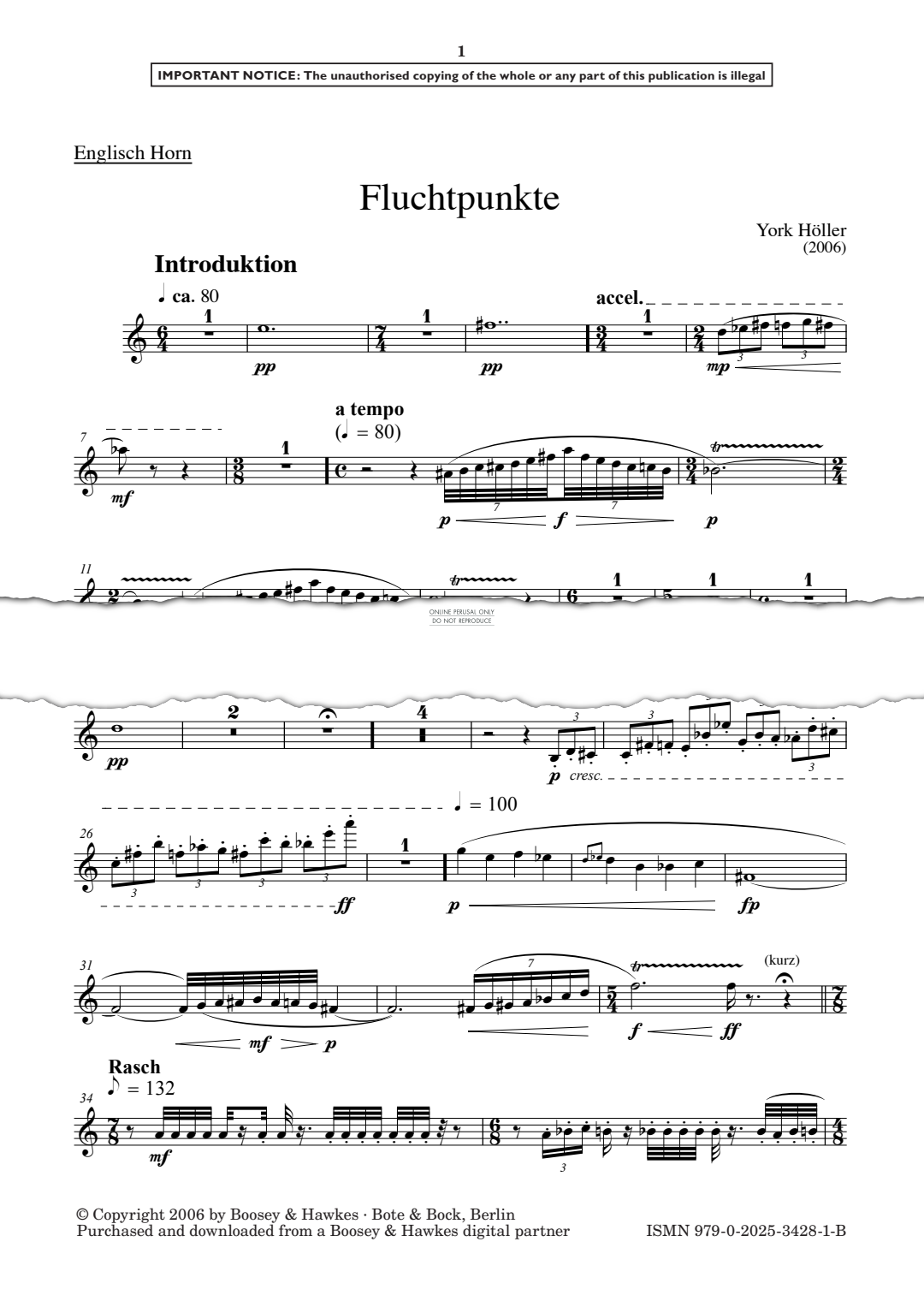 Produktgalerie: Seite 1 von 1 Fluchtpunkte, York Höller, Horn