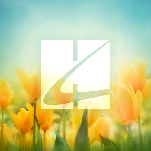 Product picture to: Peter Cottontail