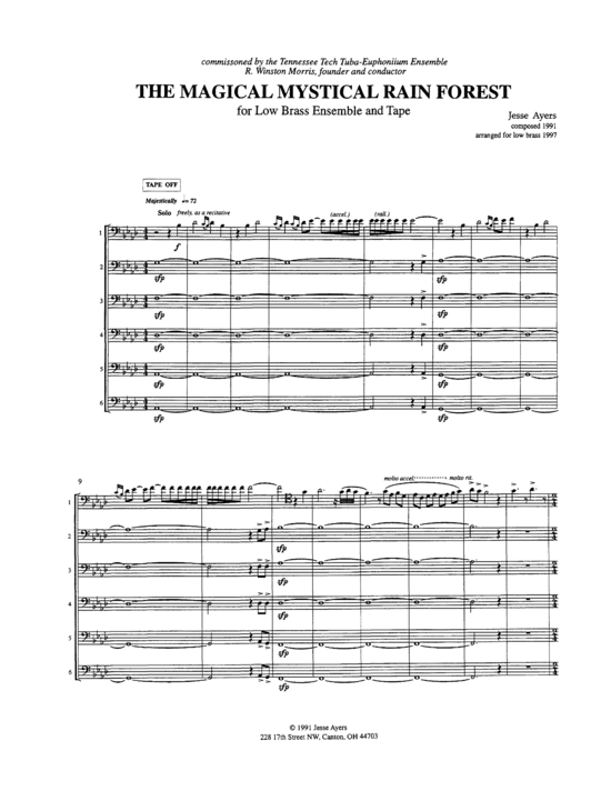 Produktbild zu: Into the Magical Rain Forest Jesse Ayers