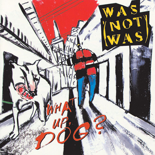 cover: Walk The Dinosaur, Randy Jacobs, Gesang, Gitarre, Klavier