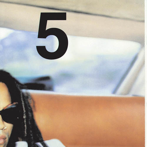 cover: Fly Away, Lenny Kravitz, E-Bass, Gitarre