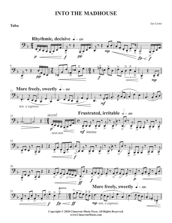 Product picture to: Into the Madhouse Ian Lester