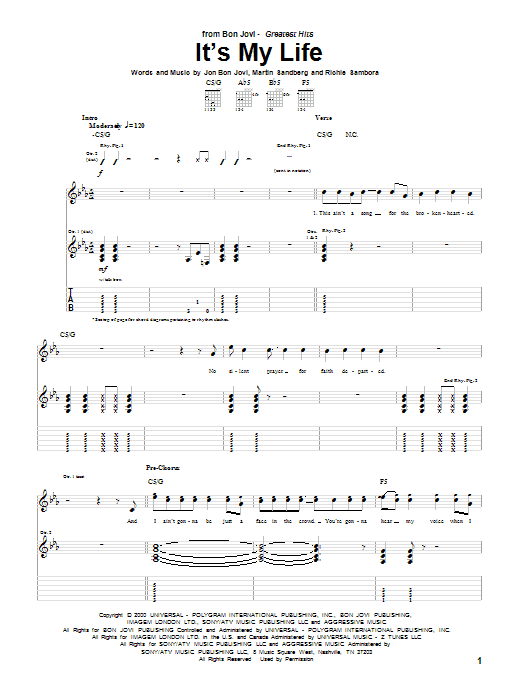 Produktgalerie: Seite 1 von 1 It's My Life, Bon Jovi, Gitarre
