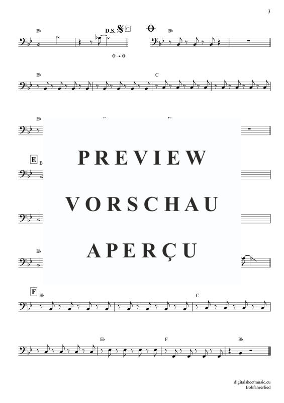 gallery: Bobfahrer-Lied, Buam, Troglauer, E-Bass