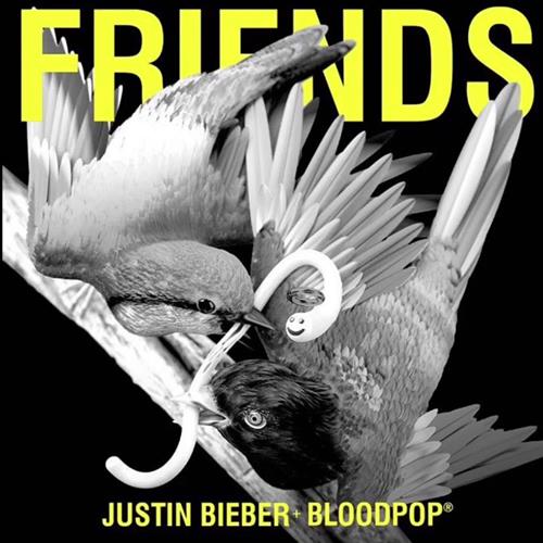 cover: Friends, Justin Bieber feat. BloodPop