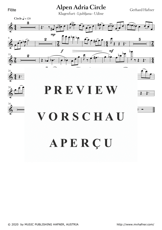 gallery: Alpen Adria Circle, , (Mixed ensemble flute, accordion, violin and violoncello)