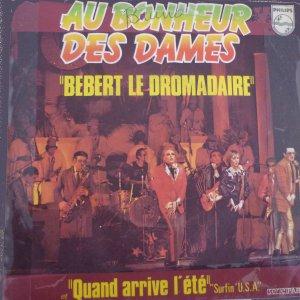 cover: Bebert Le Dromadaire, Pipin, Gesang, Gitarre, Klavier