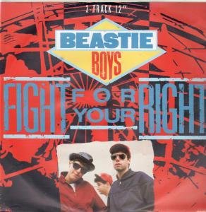 cover: Fight For Your Right (To Party), Beastie Boys, Gesang, Gitarre, Klavier