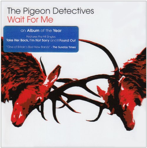 cover: I'm Not Sorry, The Pigeon Detectives, Gitarre