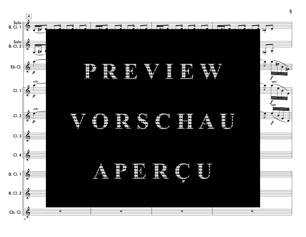 Produktgalerie: Seite 9 von 11 Bass Clarinet Double Concerto, , (Klarinetten Ensemble 2x Bass Klarinette und Klarinettenchor)