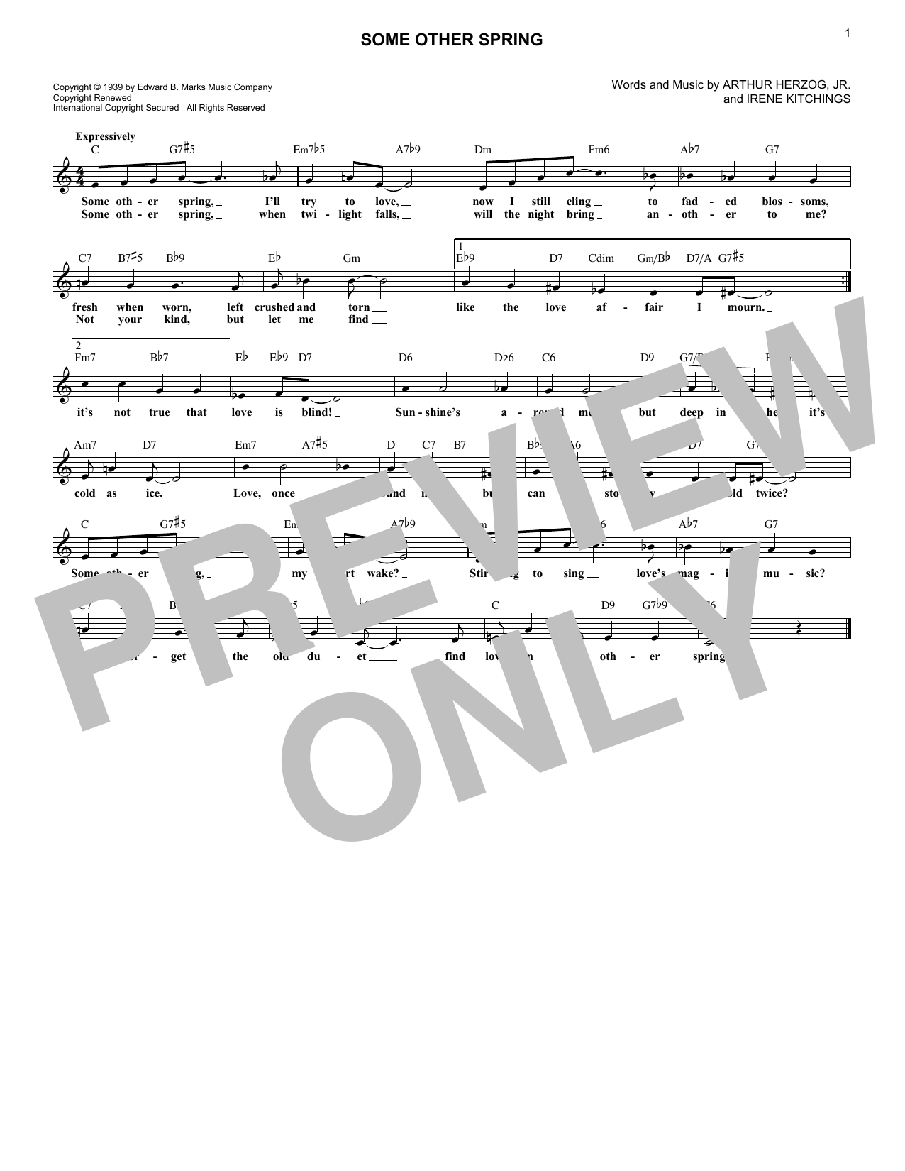 Product picture to:  Some Other Spring - Arthur Herzog Jr. and Irene Kitchings