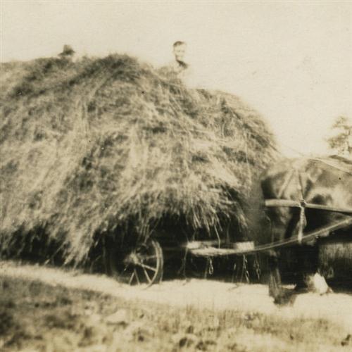 Product picture to: A Load Of Hay